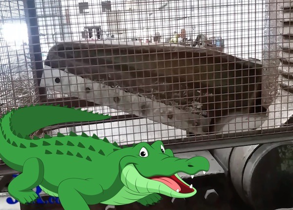 Lefort 900 on Just-Recycling Alligator