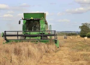 Harvesting Oilseed Rape Lincolnshire Wolds